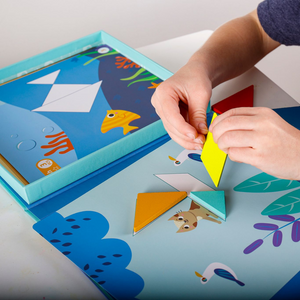 Magnetic Tangram Puzzle Play Set